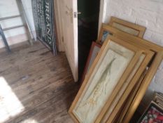 Quantity of Pictures