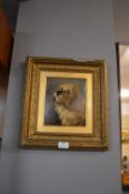 Oil on Board Study of a Dandie Dinmont