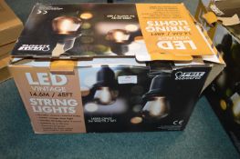 *Feit LED Vintage 48ft String Lights