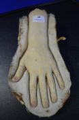 *Plaster Mould and Cast with Latex Hand 12” length
