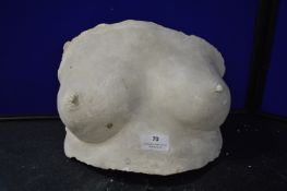 *Plaster Cast of a Female Chest - Sarah Young 1973