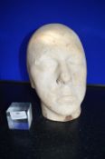 *Male Solid Plaster Bust