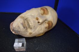 *Hollow Plaster Bust 11” Height