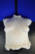 *Plaster Cast of a Female Torso marked Amanda