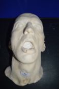 *Male Plaster Face Cast