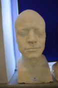 *Male Plaster Bust