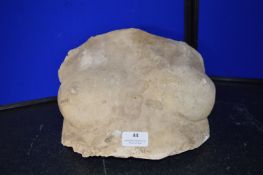 *Plaster Female Bust