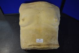 *Plaster Cast Female Chest