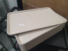 * 20 x plastic trays