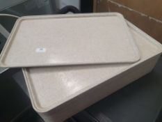 * 20 x plastic trays