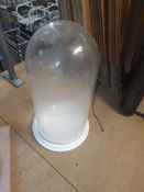 * glass display dome
