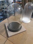 * large glass display dome