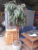 * large artificial plant - approx 2200h