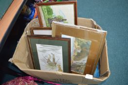 Framed Pictures and Prints