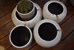 *Five White Plastic Planters and a Cacti
