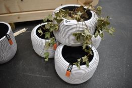 *Four Plastic Planters (one damaged)