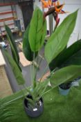 *Artificial Bird of Paradise Plant in Pot