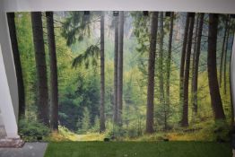 *Woodland Picture 240x120cm