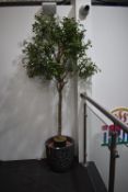 *Artificial Olive Tree in Planter