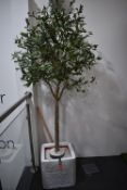 *Artificial Olive Tree in Pot