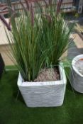 *Two Artificial Grasses in Planter