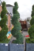 *6ft Artificial Cedar Spiral Topiary in Planter