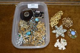 Vintage Costume Jewellery Brooches etc.