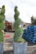 *6ft Artificial Cedar Spiral Topiary in Planter