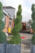 *6ft Artificial Cedar Spiral Topiary in Planter