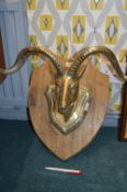 Brass Rams Head Mounted on Wooden Plaque