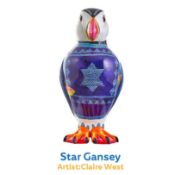 Star Gansey by Claire West