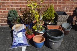 Planters, Pots, and Plants, etc.