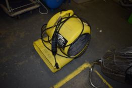 *Tempest Carpet Dryer