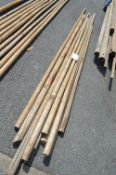 Ten Tipi Poles