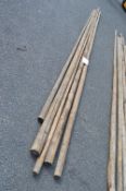 Five Tipi Poles