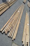 Ten Tipi Poles