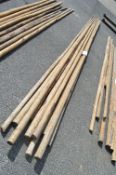 Ten Tipi Poles