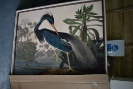 *Framed Print of a Heron 105x80cm