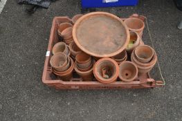 Terracotta Plant Pots