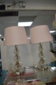 Pair of Metal & Acrylic Table Lamps with Pink Shad
