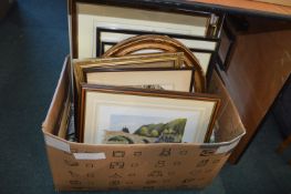 Framed Pictures and Prints