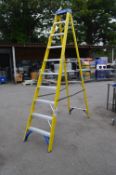 *Werner Ten Tread Swing Back Step Ladder