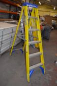 *Werner Six Tread Step Ladder