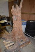 *Carved Teak Tree Root