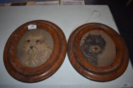 *Pair of Walnut Framed Oil on Boards Depicting Scruffy Dogs