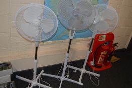 *Three Oscillating Fans