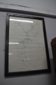 Framed Sketch Map of Winestead 1809-17