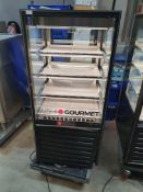 * FPG Iso Form grab and go rear loading chiller - with light and night blind. Tested working - in
