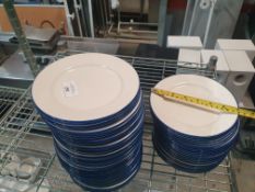* approx 60 x 18cm plates