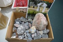 Rocks and Fossils